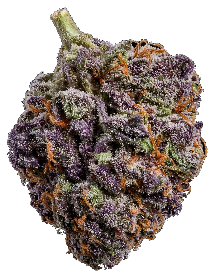 JAR Flower AU 3.5g - Ice Cream MInts