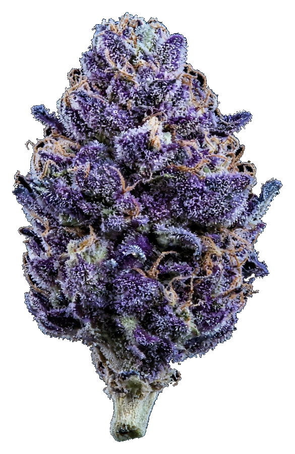 JAR Flower AU 3.5g - Oishii