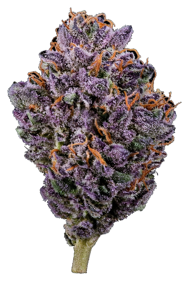 JAR Flower AU 3.5g - Silver Kush