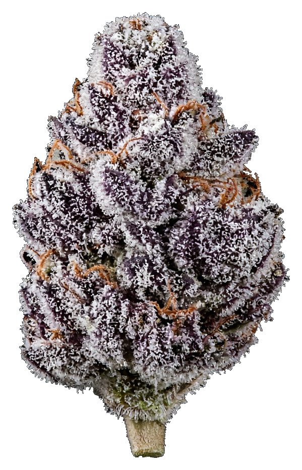 JAR Flower AU 3.5g - Violet Vixen
