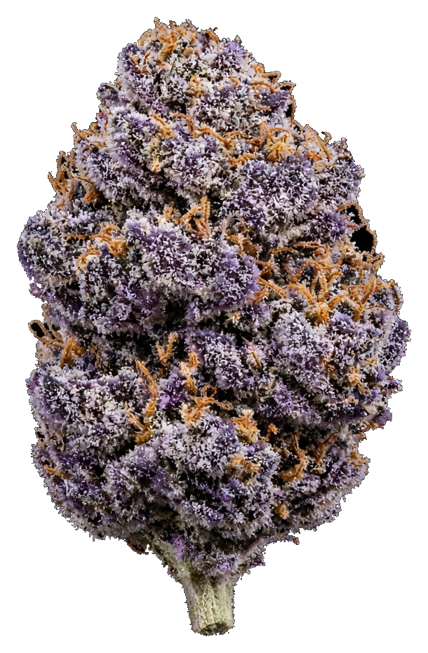 JAR Flower AU 7g - Blue Slushie