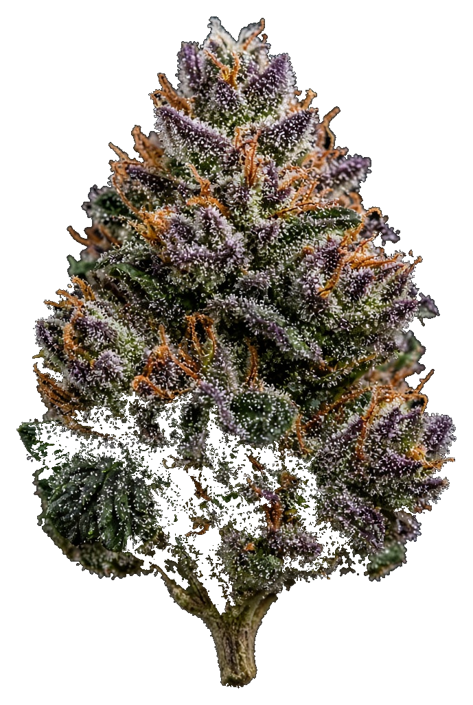 JAR Flower AU 7g - Devil Driver