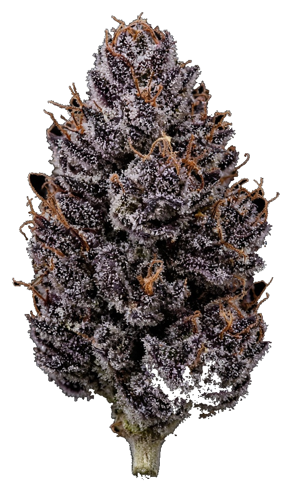 JAR Flower AU 3.5g - Blue Slushie