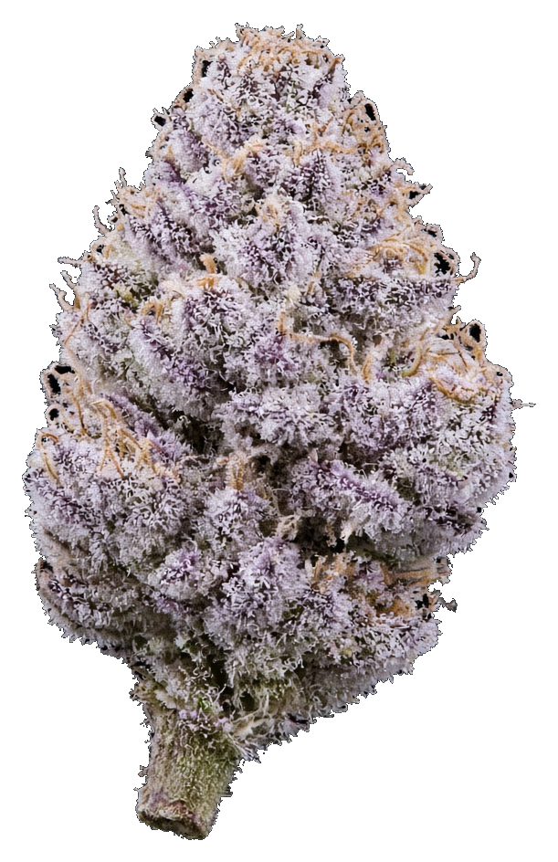 JAR Flower AU 3.5g - Cadillac Rainbow