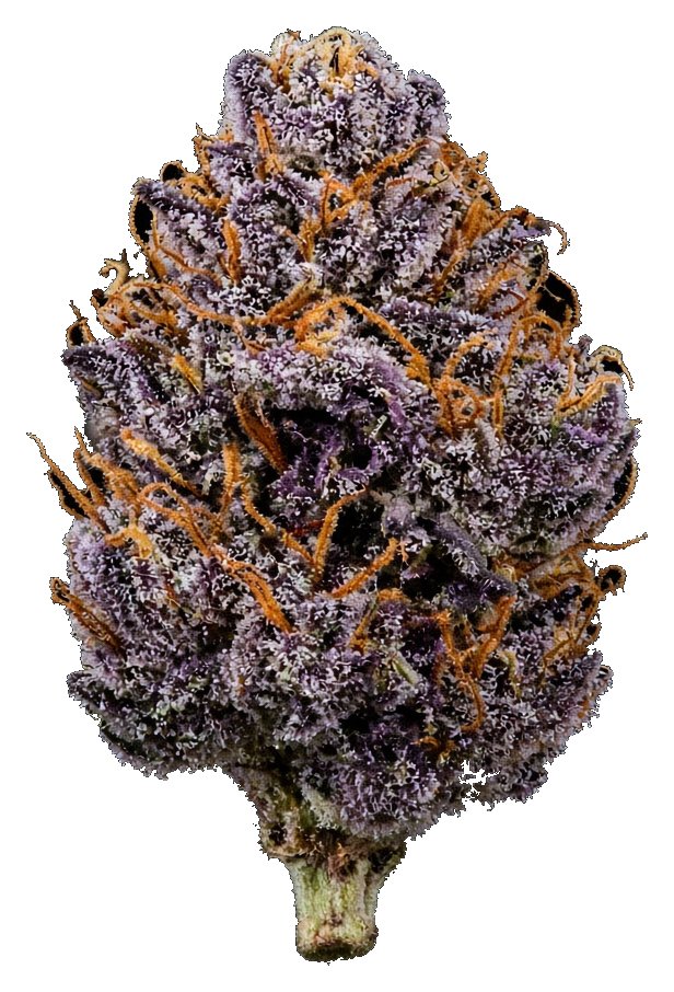 JAR Flower AU 3.5g - Deep Space
