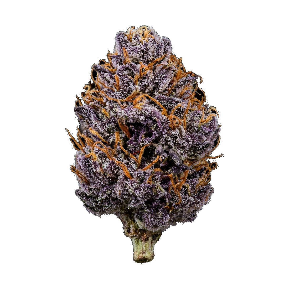 Rugged Roots / Perm Head / Dime Bag / 1G