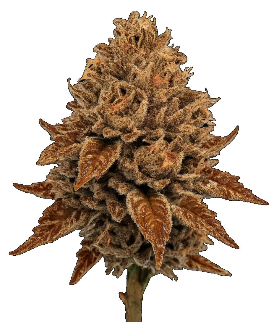 WPP - Flower - Peanut Butter Octane