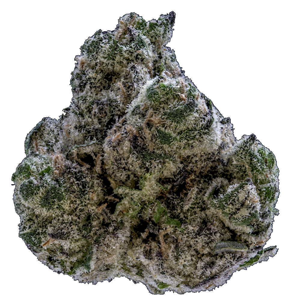WPP - Flower - Planet Of The Grapes
