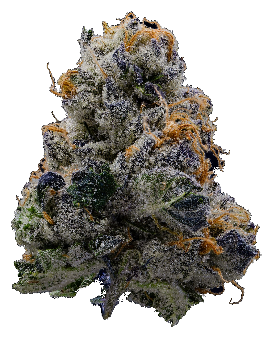 WPP - Flower - Red Wedding Cake
